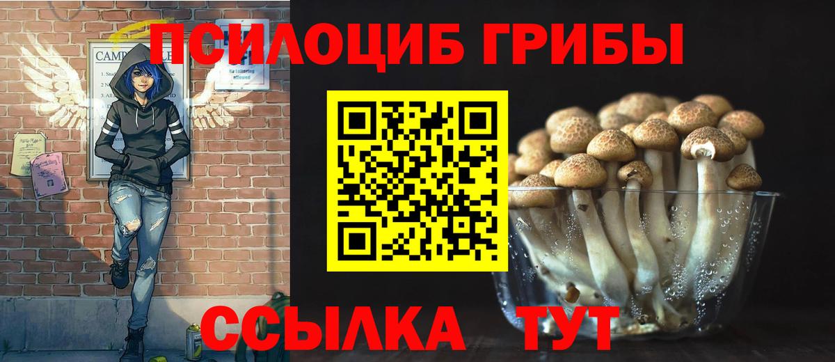 Ейск  Галлюциногенные грибы Cubensis  Вход с VPN  Галлюциногенные грибы мухоморы 
